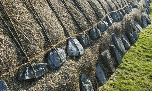 Thatched Buildings: Past, Present and Future