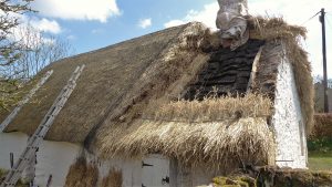 The thatched roof of Cruck Cottage with a hole in it in need of repair