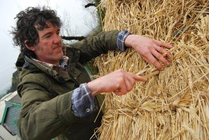 A person reapriing a thatched roof