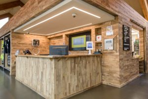 A wooden reception desk and wooden area surrounding the desk