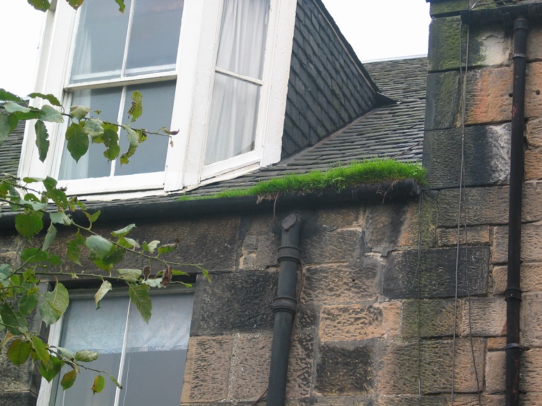 A stone building with grass growing out from the gutter