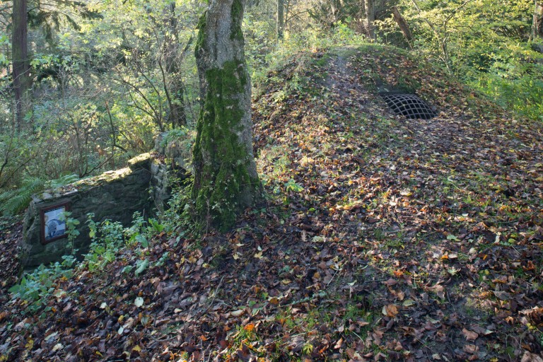 A small, stone outbuilding, covered with leaves.