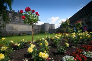 A garden at Stirling Castle, with a border filled with yellow and red roses.