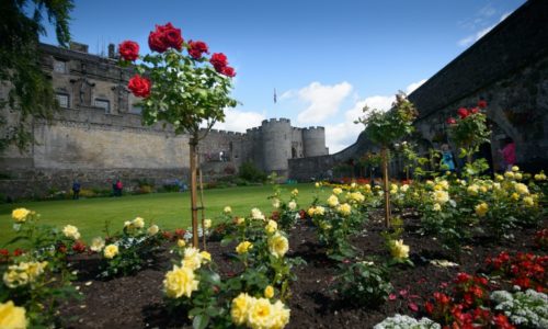 Hidden gems in Scotland’s historic gardens