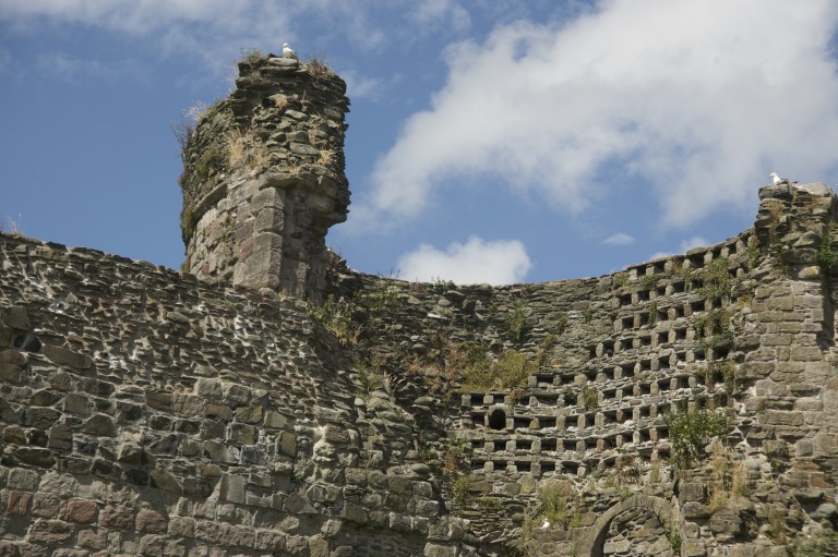 A partially ruined dovecote, with lots of stone boxes, some now filled with moss.