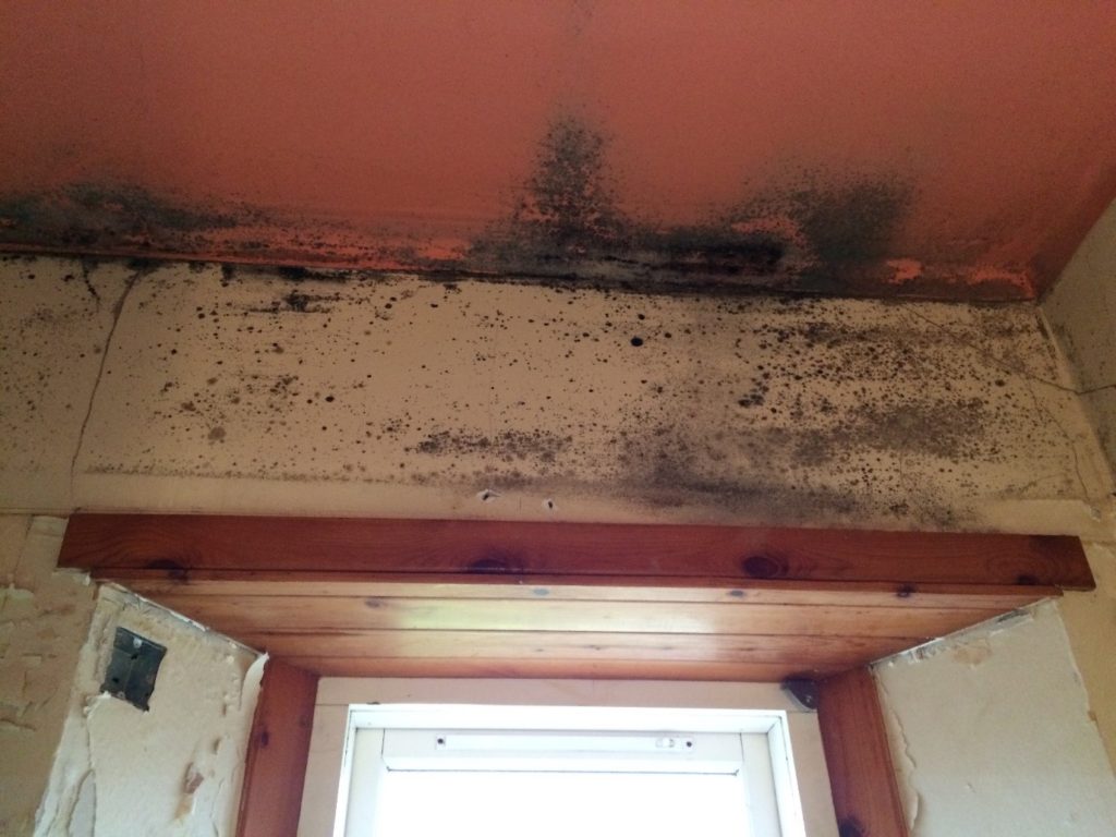 Mould above a window and on a ceiling
