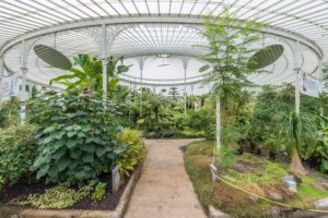 A historic, iron glasshouse filled with plants