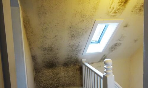 What is condensation and how to prevent it in older buildings?