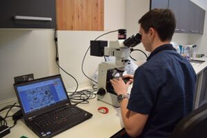 A person looking into a microscope in a lab. Beside them is a laptop, showing them images of the stone that they can see under the microscope.