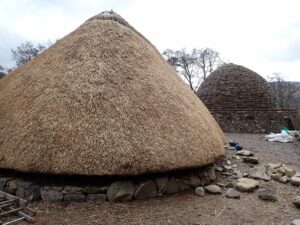 A traditional roundhouse building with a very large sloped thatch roof. There is only a knee-high stone wall at its base, with stones and rubble to one side as if it is being worked on.