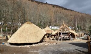 A trio of historical roundhouses being constructed. They all have very sloped thatched roofs, and one is showing only the wooden rafters before the thatch has been added.