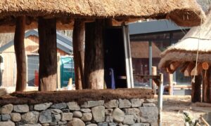 Closeup of the interior of a traditional roundhouse made from a wooden roof and circular stone wall. There are other traditional buildings in the background.