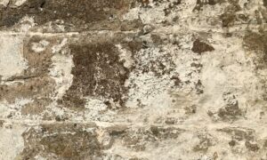 The weathered exterior of a historic building seen in closeup. The mortared stones are divided by brighter limewash giving a square grid shaped pattern.