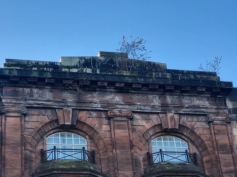 A red sandstone building with sash and case windows and ironwork balconies. Small shrubs and grass is growing from the gutter.