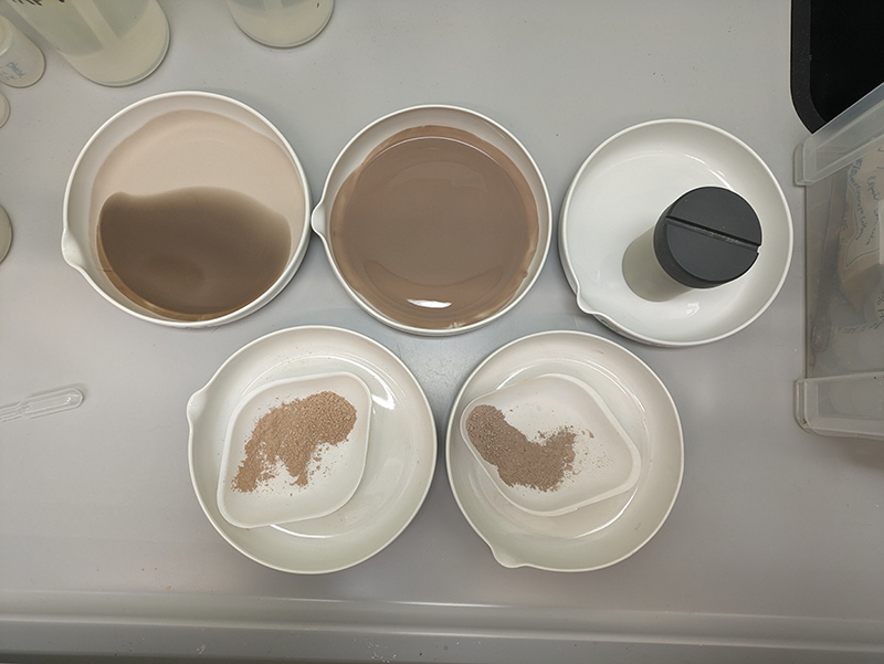 5 dishes on a table, some contain brown liquid materials and some contain a brown, dry powder.