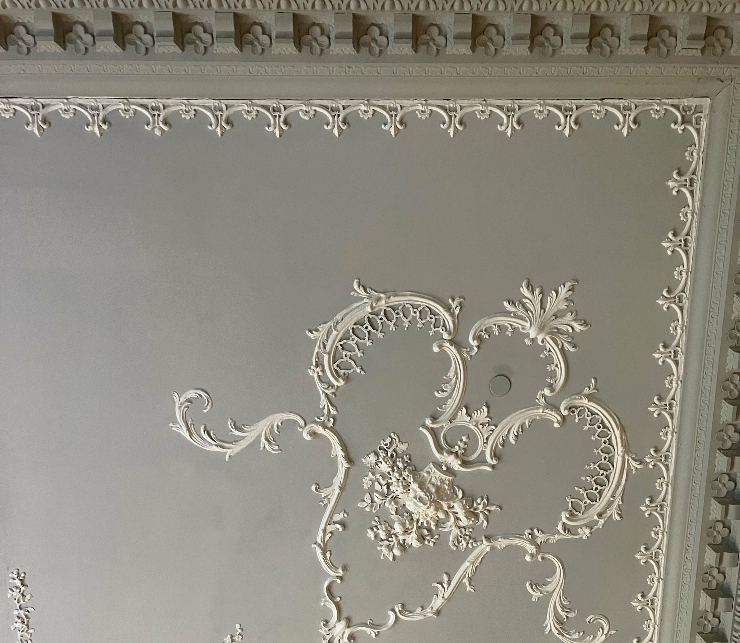 A grey plaster ceiling with white ornate floral detail and a small, discreet cap on a sprinkler blending into the grey ceiling