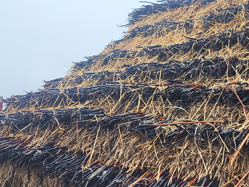 A close up of a bracken thatched roof. The bracken is in layers, with alternating layers of dark brown and light brown material.