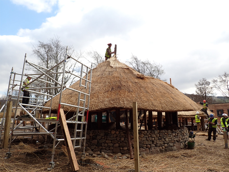 People building a round historic-style building with a stone wall and thatched roof.