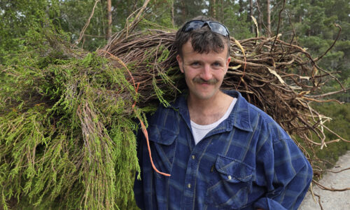 How to pick heather for roof thatching