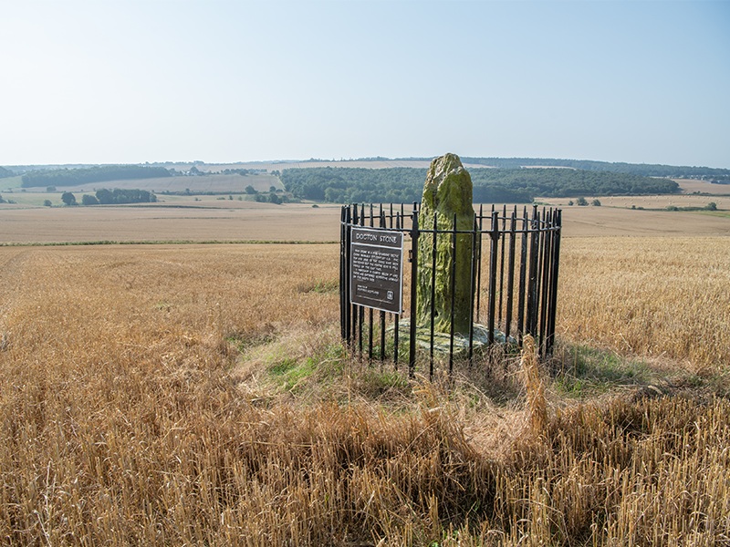 A small standing stone surrounded by a black iron fence in a grassy field.