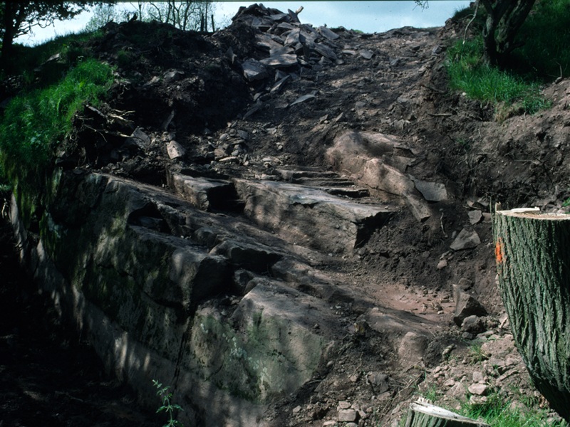 A steeply climbing outcrop of rock visible in the wall of the former quarry